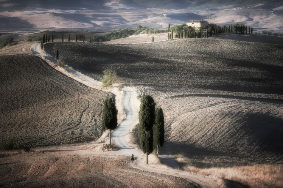 mgregor - Powrót Gladiatora. . Zdjęcie 338555