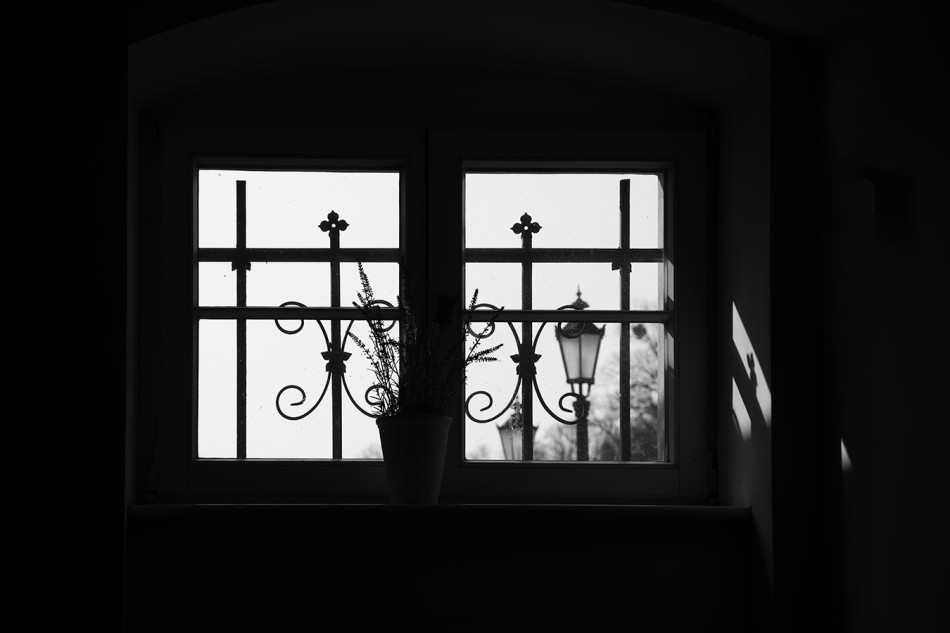 Cień i światło. . Zdjęcie 339667