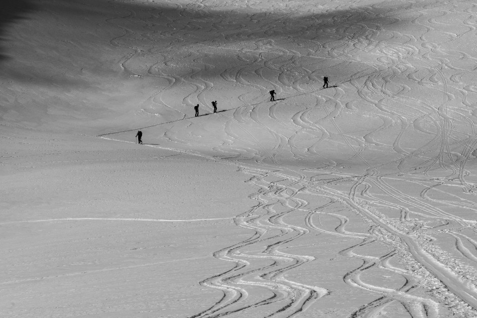 na lodowcu II. Alpy austriackie. Zdjęcie 339459