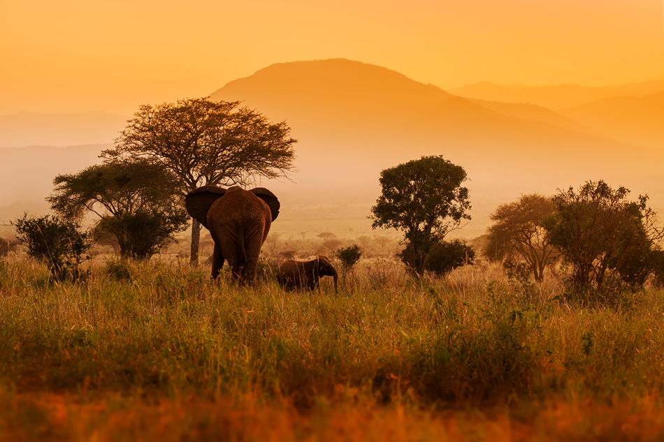 fotoel - Goodbye Africa. . Zdjęcie 142869