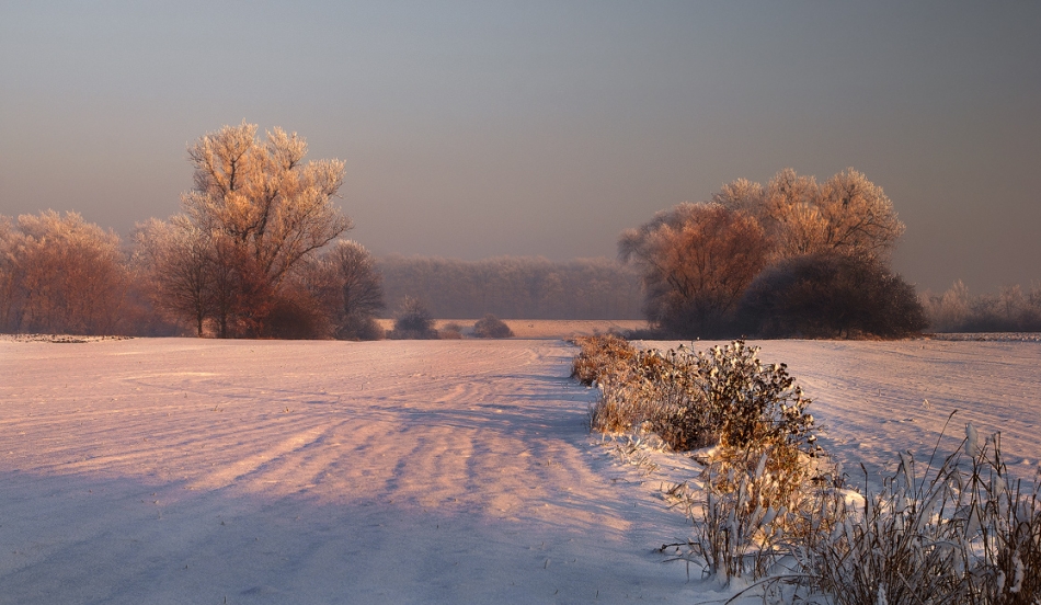 siwypz - opolska polana. na PE lepiej. Zdjęcie 76702