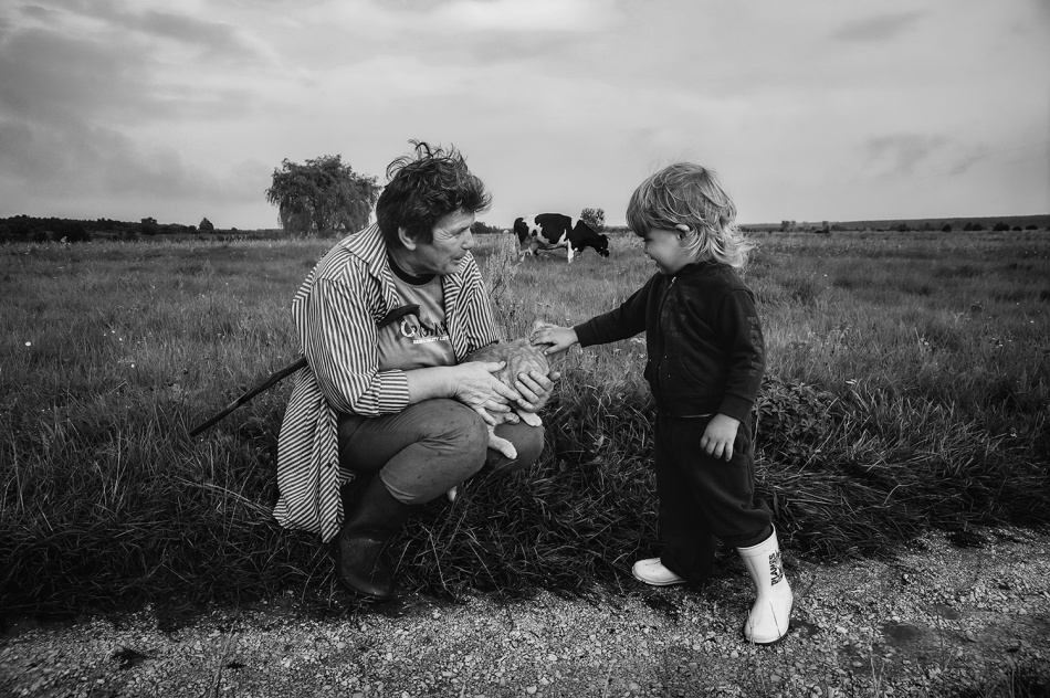 .. . Zdjęcie 337345