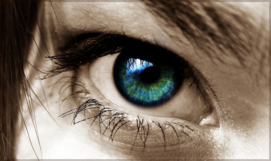 limetka - zwierciadło duszy. tęczówka nie jest zabarwiona w PS, zmieniony został jedynie kontrast i temperatura kolorów. zapraszam na Pełen Ekran!. Zdjęcie 8144