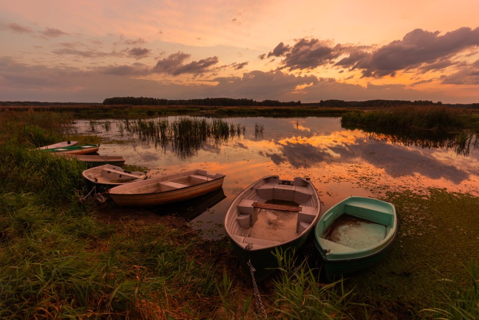 Zachód. Pilica. Podklasztorze (woj. łódzkie). . Zdjęcie 337501
