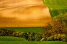 Nowy dywan