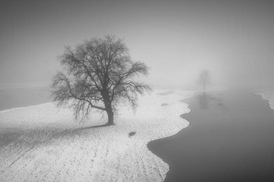 exo_82 - . . Zdjęcie 314038