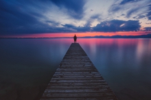 Looking For The Future...