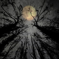 Moontree