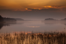 Warmia