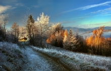 cienie i blaski...