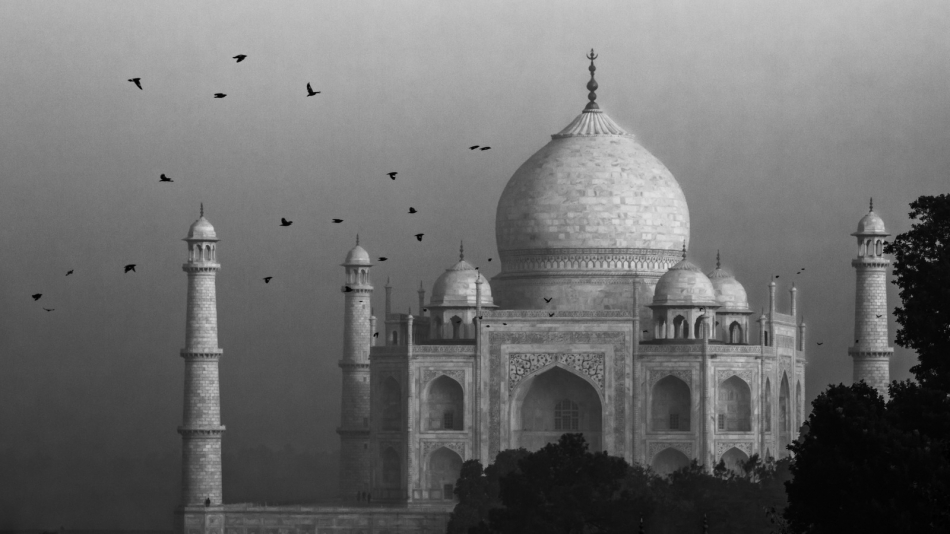 pak76 - Stado. . Zdjęcie 262658