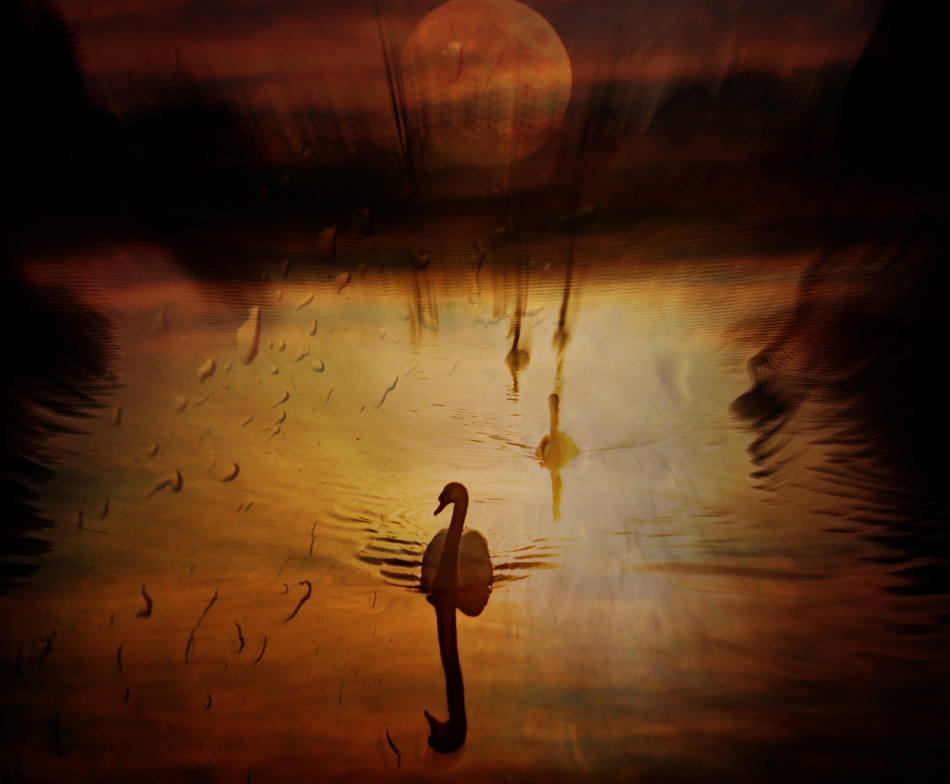 Teatr Cieni.... . Zdjęcie 298818