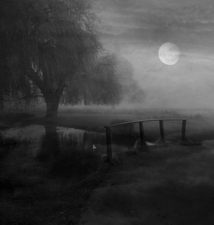 robin74r - Some Mornings.... A CO POWIECIE NA B&W I BEZ PTAKÓW ?. Zdjęcie 330865
