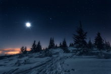 Night Shine