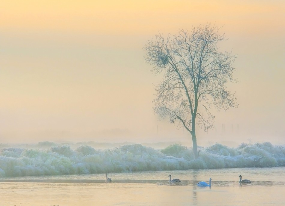 O poranku. . Zdjęcie 338644