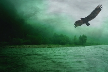Green Morning...