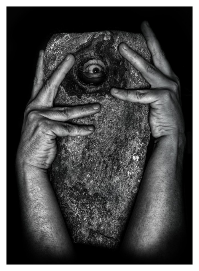 Ent. . Zdjęcie 337927