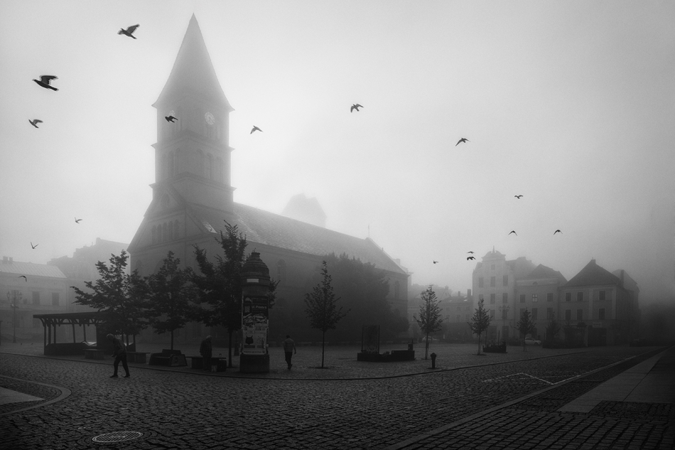 akrims - . . Zdjęcie 319604