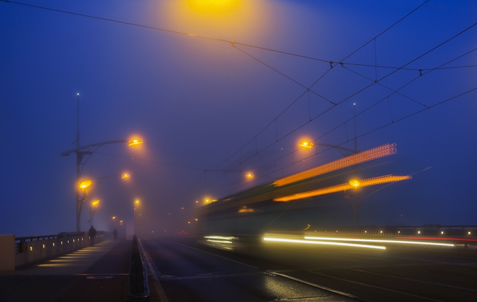 toooomelo - 16. . Zdjęcie 193572