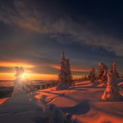 Natural Magic...