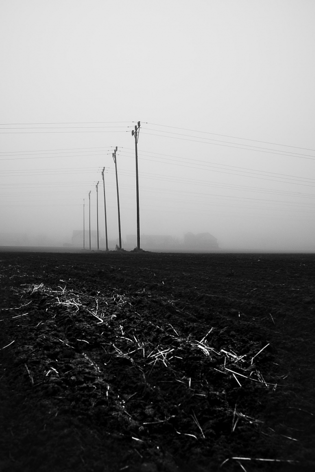 -. -. Zdjęcie 336760