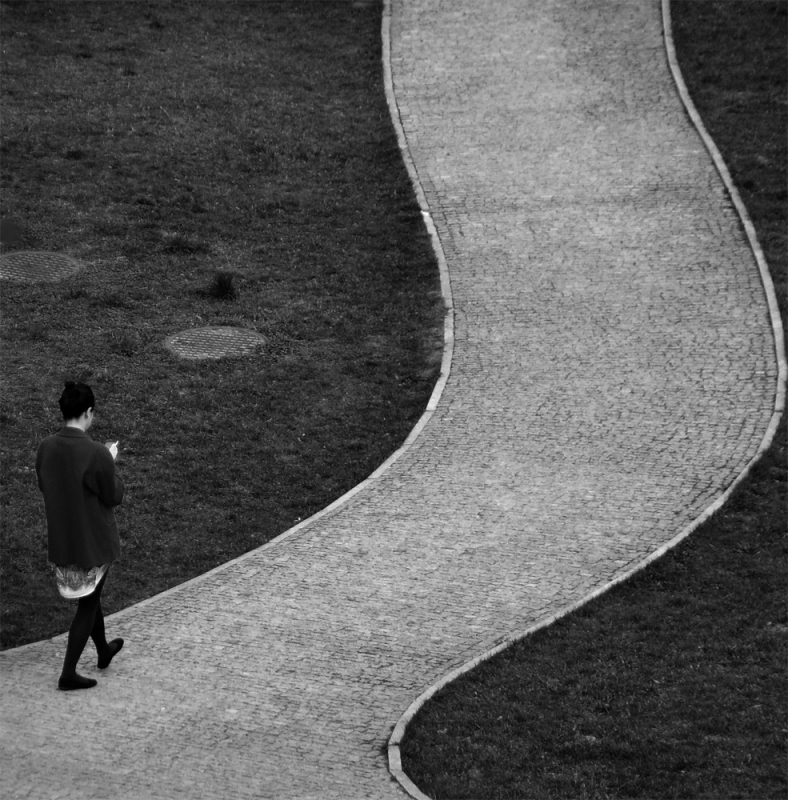 *. . Zdjęcie 116573