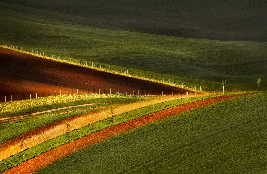 Przekładaniec. . Zdjęcie 25817