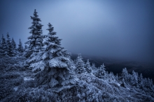 Snow Borne Sorrow...