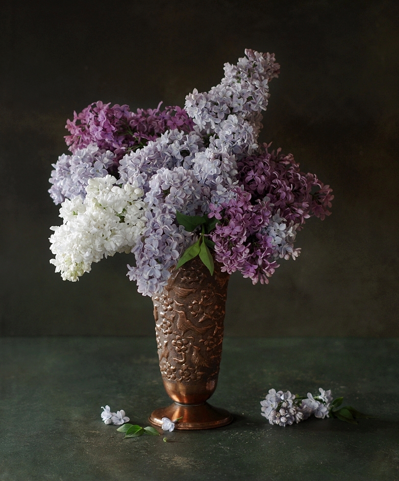 marcel - Brak tytułu. . Zdjęcie 243457