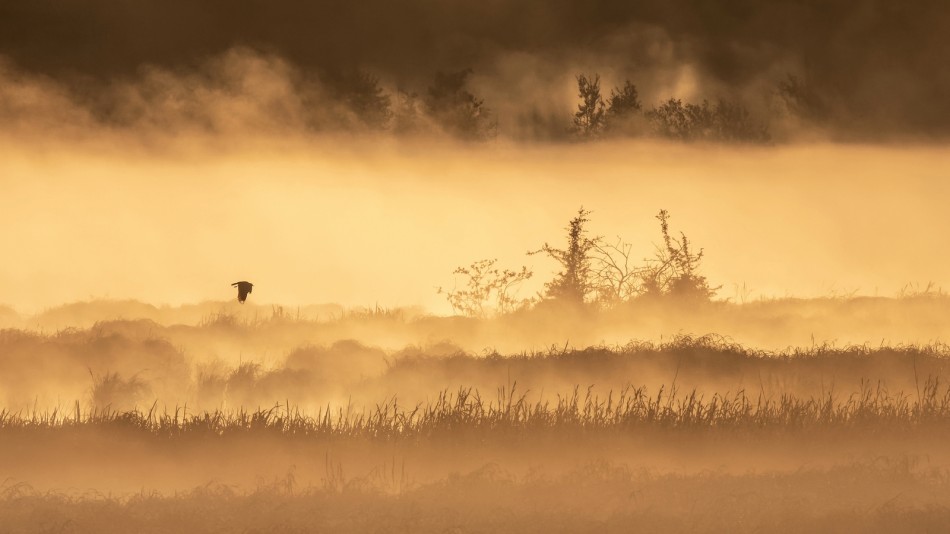 meczata - Maj w dolinie mgieł. Zmarzniętych zapraszam na PE :). Zdjęcie 338077