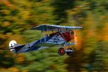 Fokker D-VII 
