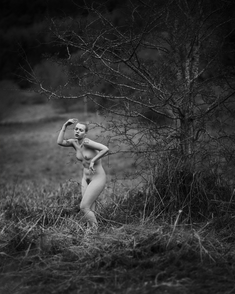 czaszki - Tree of suffering. . Zdjęcie 217629