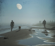 Sleepwalkers