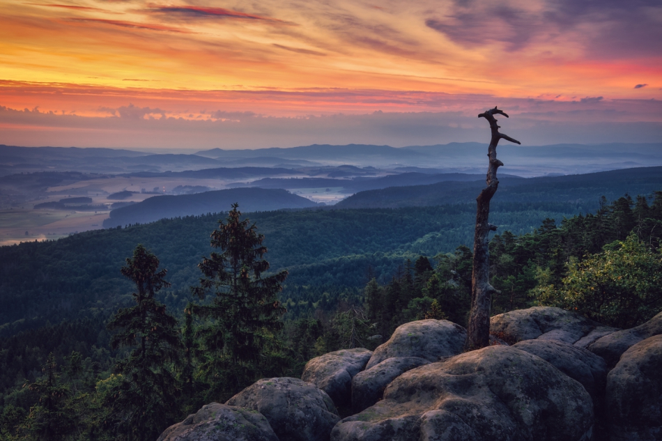 shooter76 - . . Zdjęcie 292730