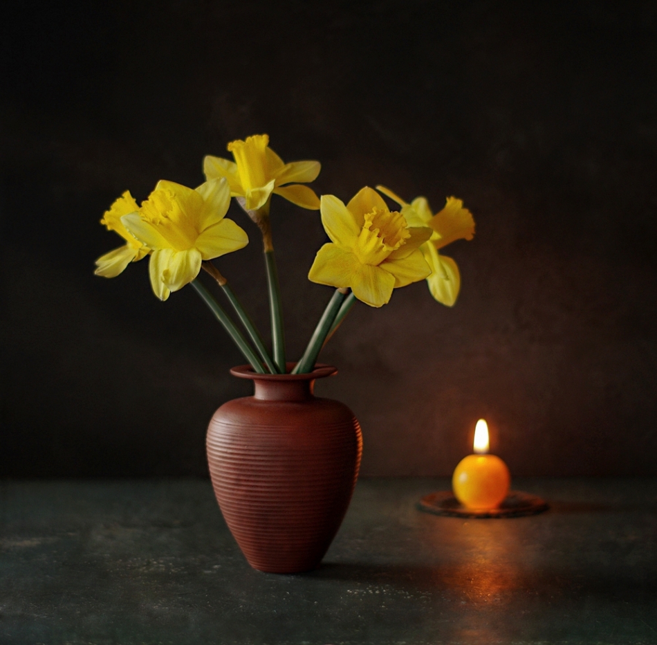 marcel - . . Zdjęcie 240943