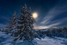 In the Moonlight...