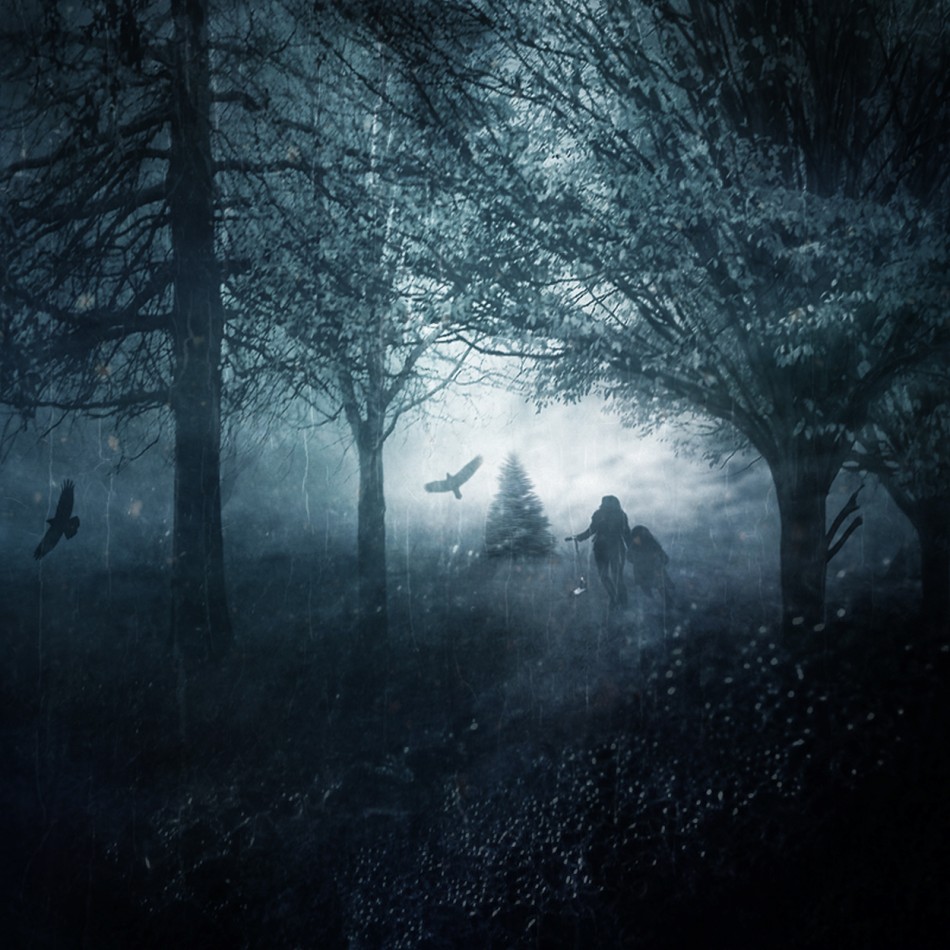 Christmas Tree. Wesołych Świąt Bożego Narodzenia !. Zdjęcie 337904