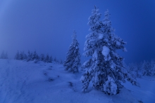 Frozen Land...