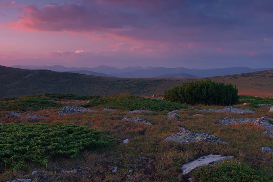 /\. . Zdjęcie 339876