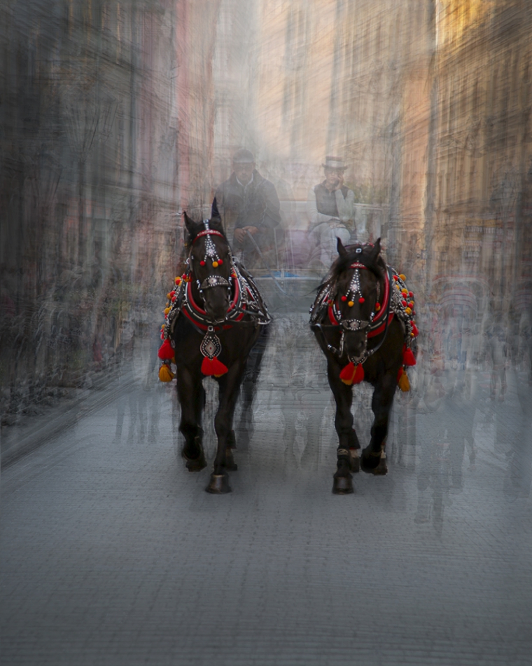 janish - . . Zdjęcie 257826