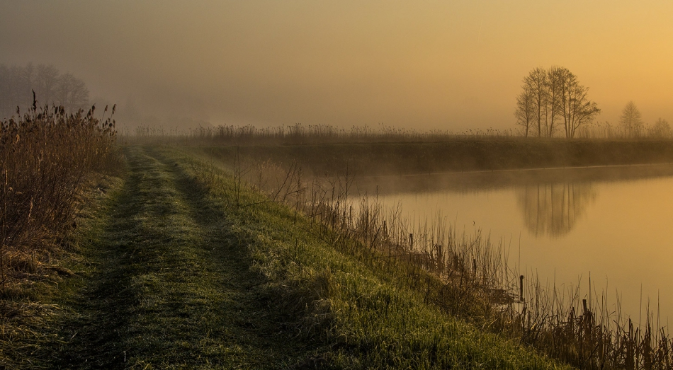jerzyk - poranek nad stawem. . Zdjęcie 288958