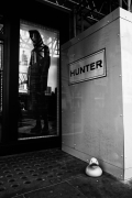 Hunter