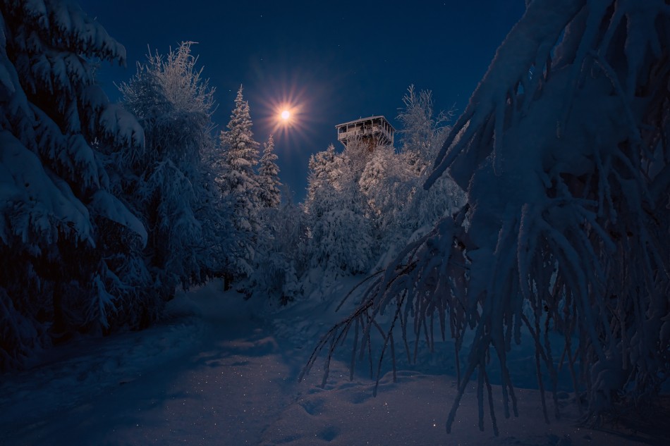 Moonlight Glow. . Zdjęcie 338433