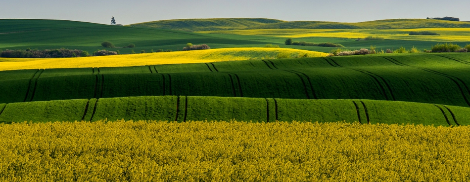 fotoel - fale. . Zdjęcie 119015