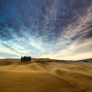 toscani classici