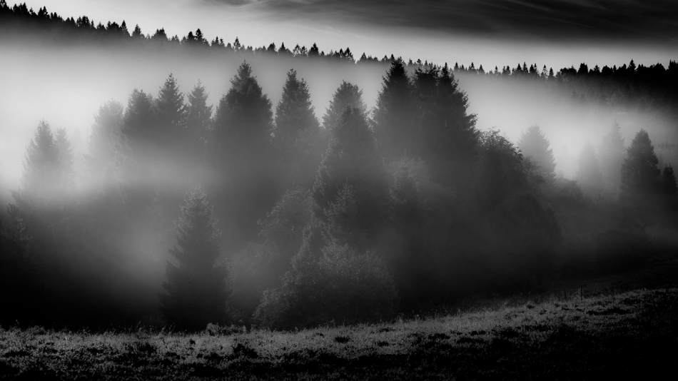 pekulka - . . Zdjęcie 313656