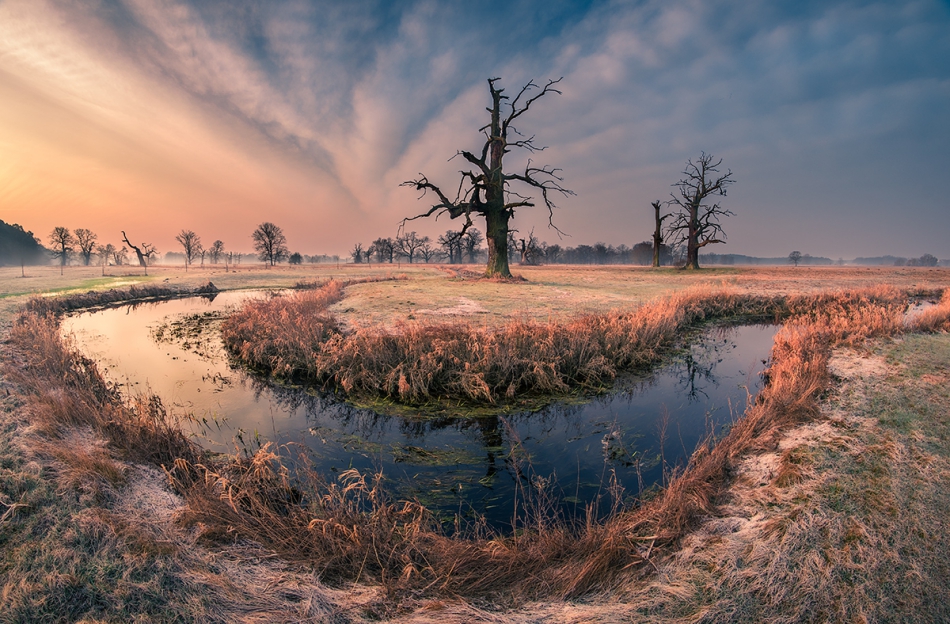 ferb72_ - Rogalin. 8mm fisheye. Zdjęcie 300376