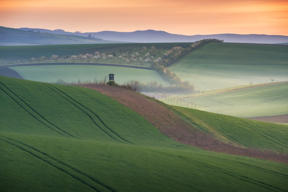 mgregor - O poranku. . Zdjęcie 338646