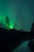 Norwegia