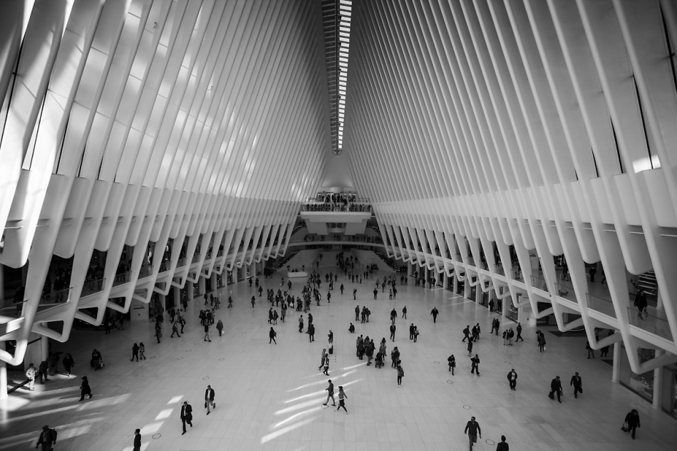 karol_nienartowicz - Oculus. . Zdjęcie 201076